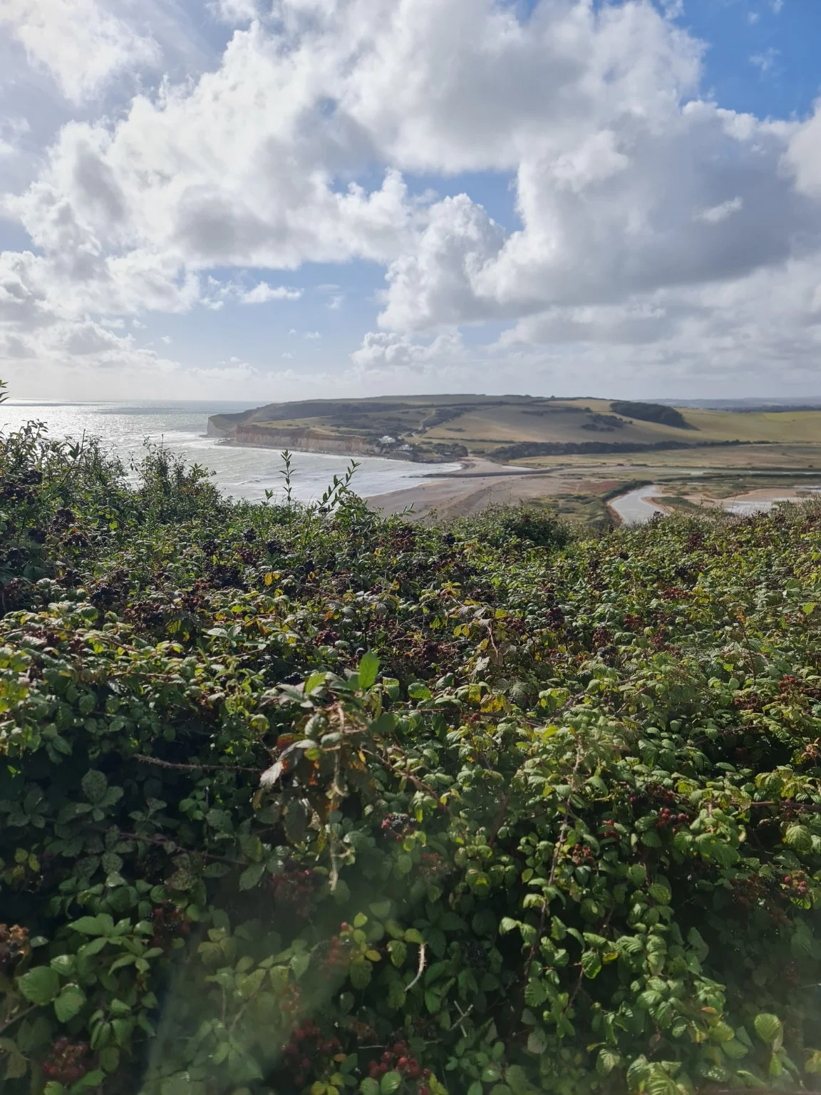 Cuckmere Haven and Seaford Head viewed across the valley